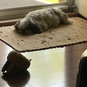 Meet your Posher, Carla